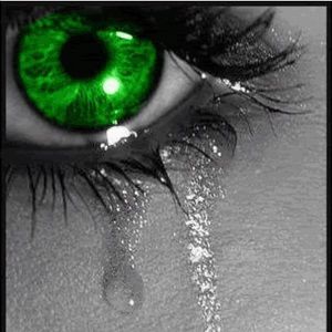 Meet your Posher, Ann